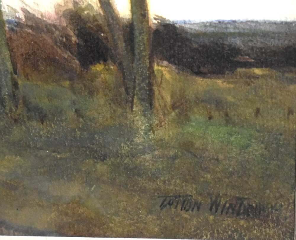 A framed antique watercolour landscape painting depicting a rural path lined with bare trees under a twilight sky. View V
