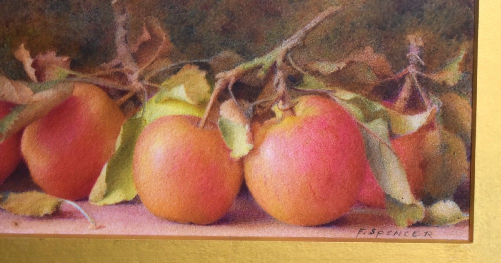 Still life watercolour of apples by Fred Spencer View V