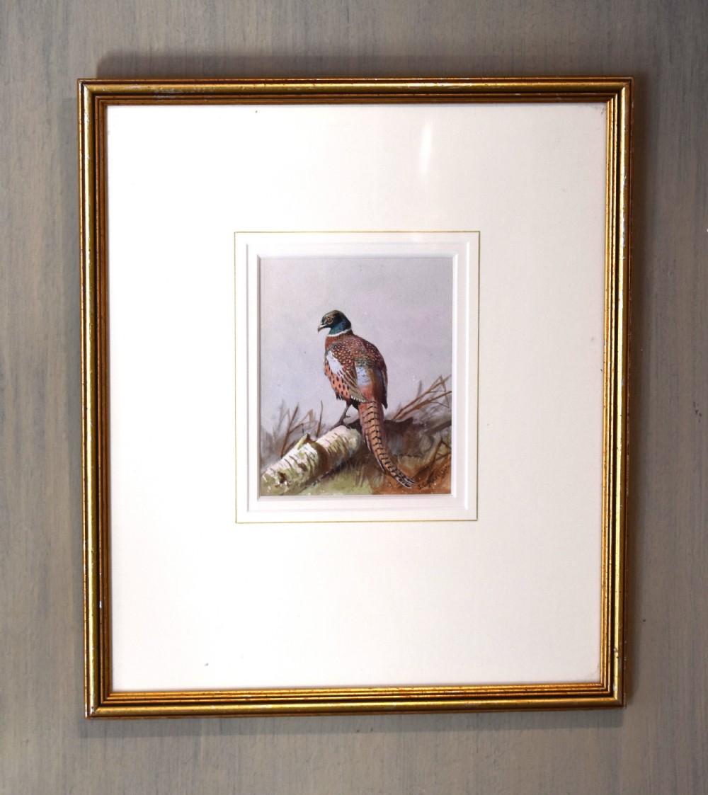 Pheasant watercolour by John Cyril Harrison 