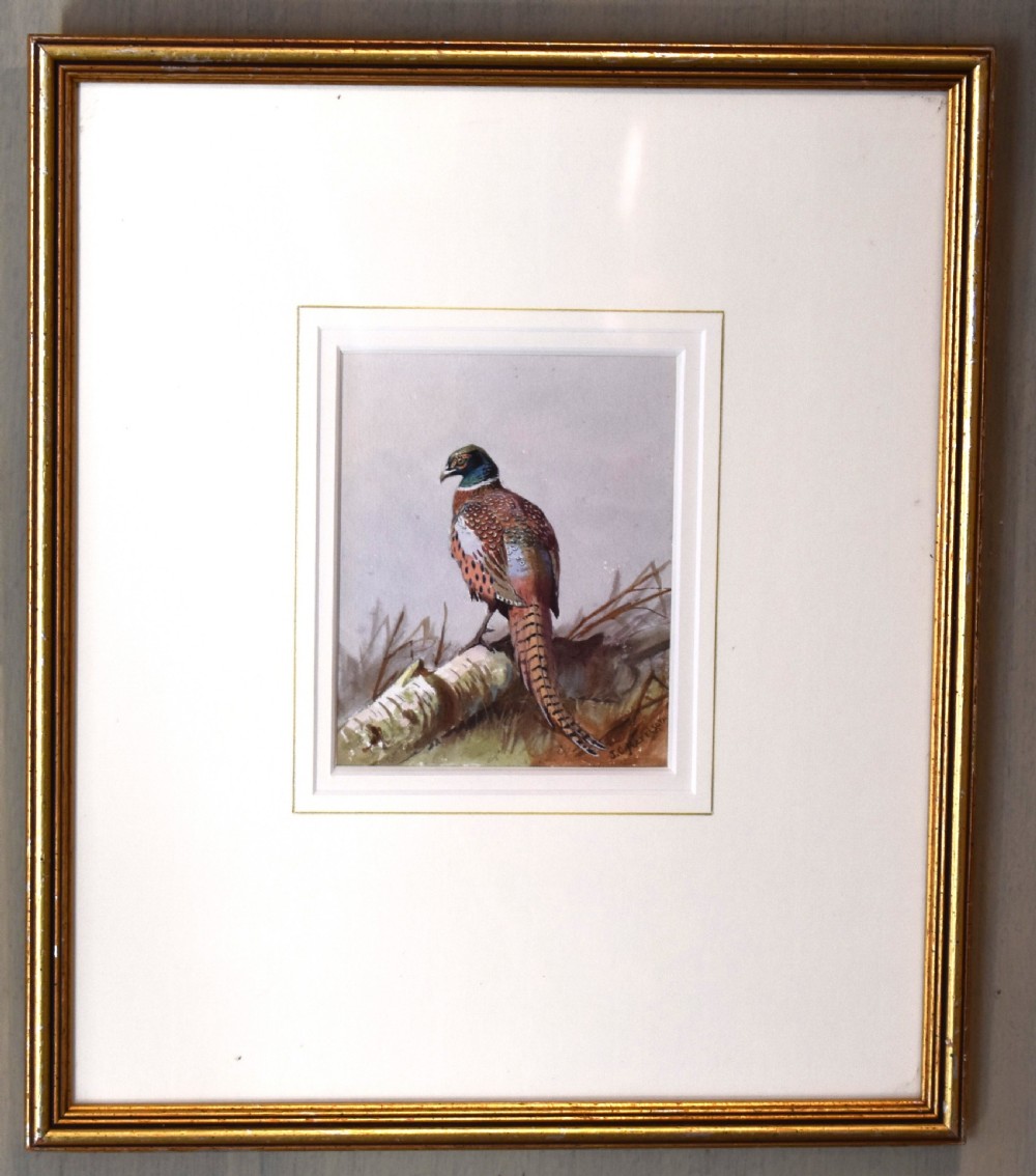 Pheasant watercolour by John Cyril Harrison  View II