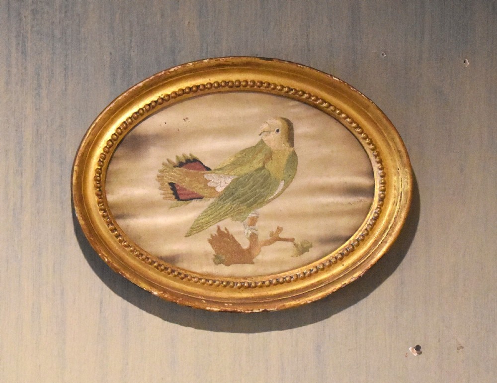 Georgian needlework of a parrot by Susannah Cleveland