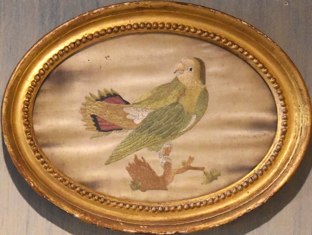 Georgian needlework of a parrot by Susannah Cleveland View III