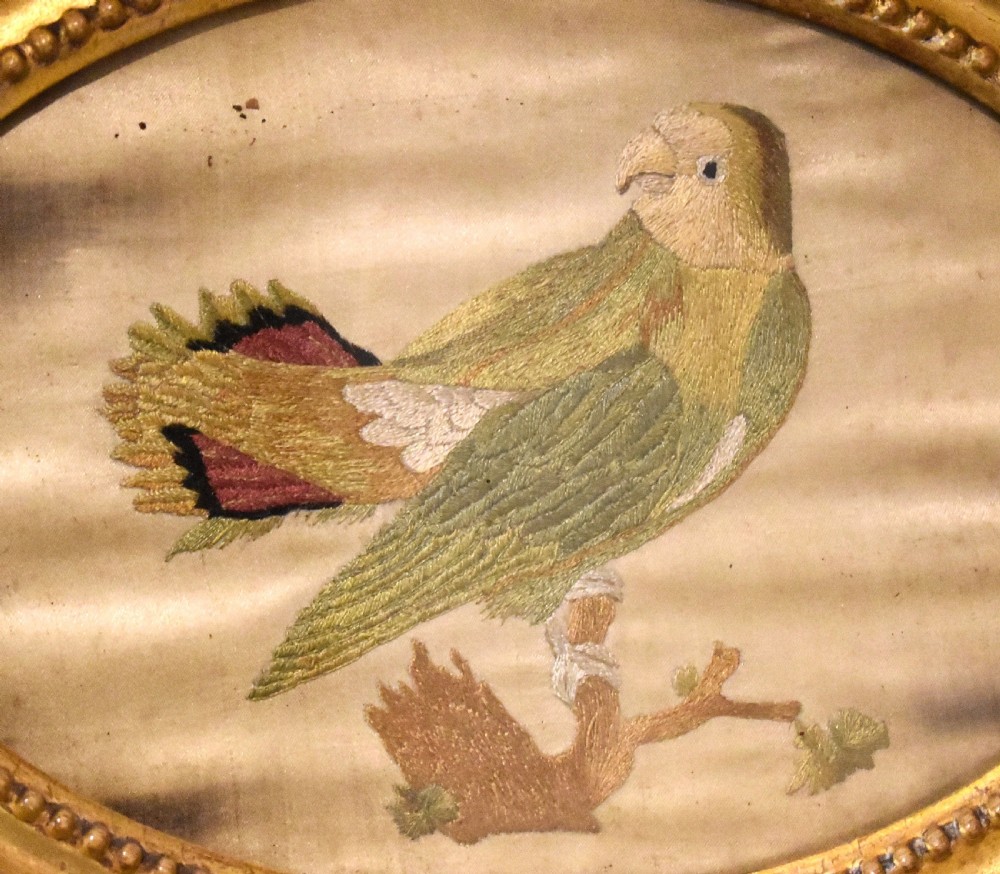 Georgian needlework of a parrot by Susannah Cleveland View IV
