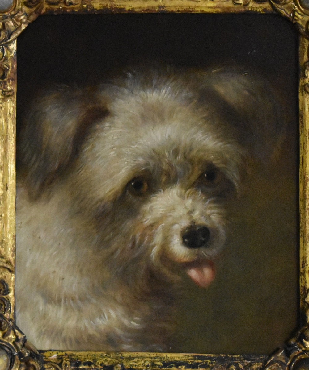 A 19th-century oil painting depicting a small terrier dog with its tongue slightly protruding, set within an ornate gilded frame. View IV