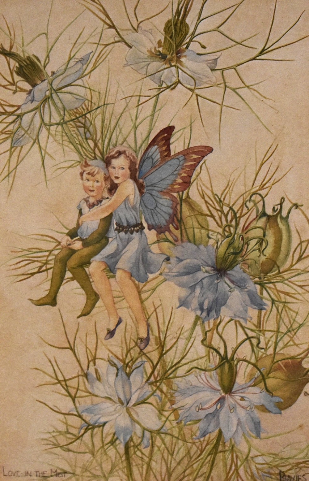 A framed watercolour illustration depicting two winged flower fairies sitting among blue love-in-the-mist blossoms, set within a double mount and a narrow gilt frame. View IV