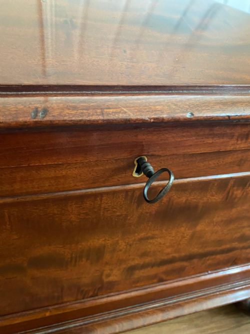 GILLOWS MAHOGANY SARCOPHAGUS SHAPED CELLARETTE - ADDITIONAL PHOTO 4