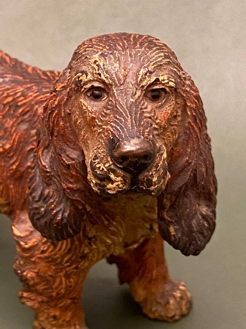 AUSTRIAN COLD PAINTED BRONZE SPANIEL 7 INCHES - ADDITIONAL PHOTO 4