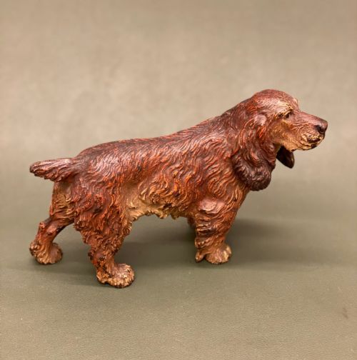 AUSTRIAN COLD PAINTED BRONZE SPANIEL 7 INCHES - ADDITIONAL PHOTO 7