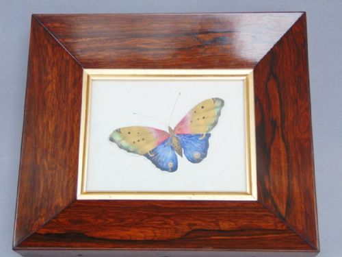 19th Century Chinese Watercolour Painting Butterfly