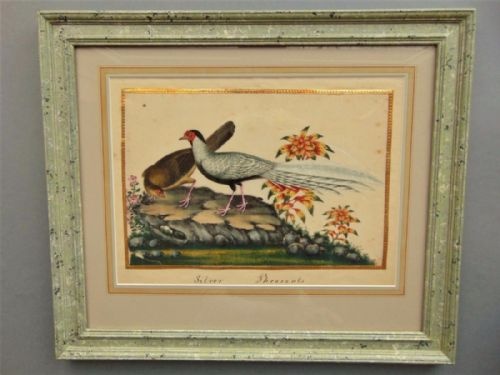 19th Century Chinese Watercolour Painting on Pith Silver Pheasants
