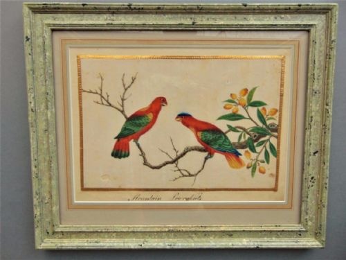 19th Century Chinese Watercolour Painting on Pith Exotic Birds / Parrots