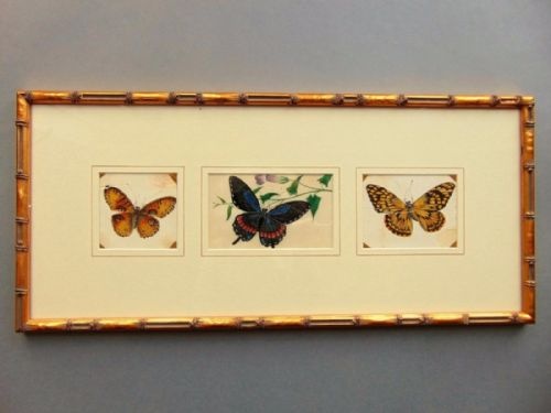 19th Century Chinese Three Watercolour Paintings on Pith Butterflies