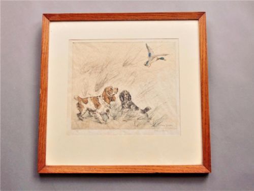 Hand Coloured Etching Spaniels George Vernon Stokes
