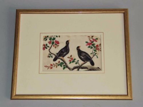 Chinese Watercolour Painting on Pith 19th Century