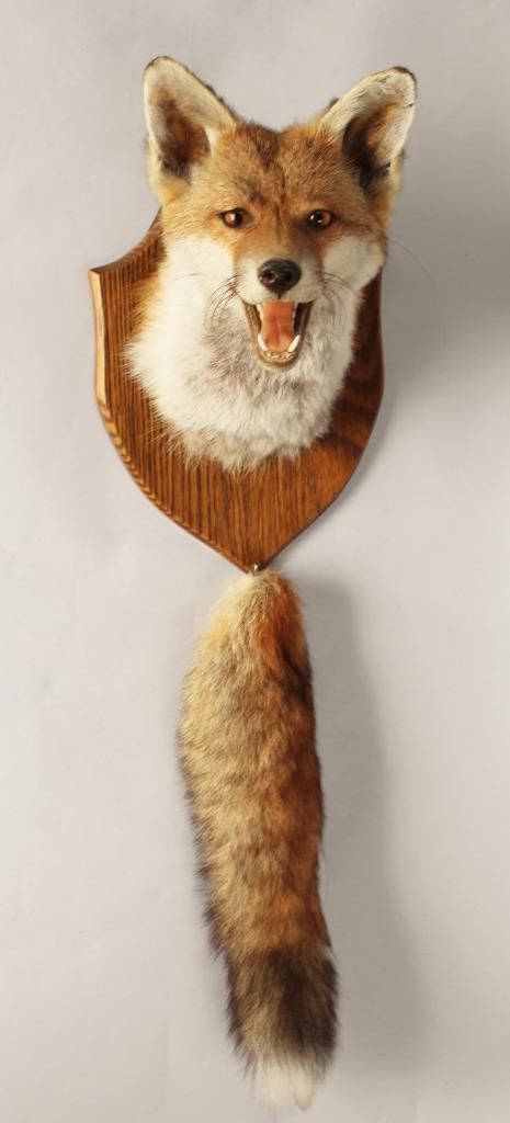 Taxidermy Mount Fox Mask and Brush