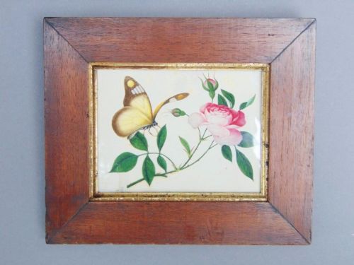 19th Century Chinese Watercolour Pith Painting Butterfly & Flower