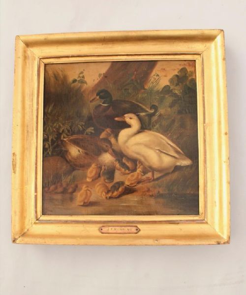 19th Century Oil Painting Jf Herring Ducks & Duckilngs