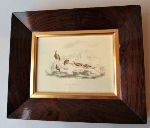 Antique Georgian Watercolour Partridges 1842 in Rosewood Frame