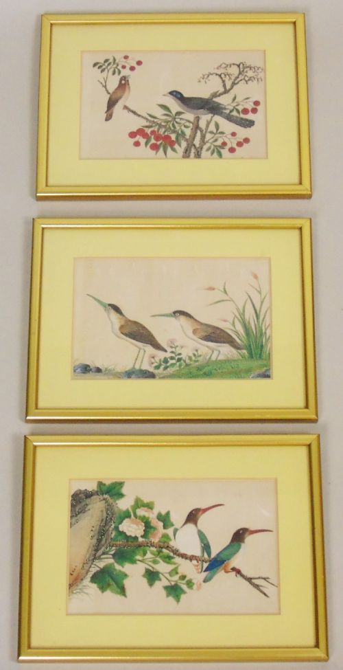 Good Set of Three Antique Chinese Pith Paintings Birds