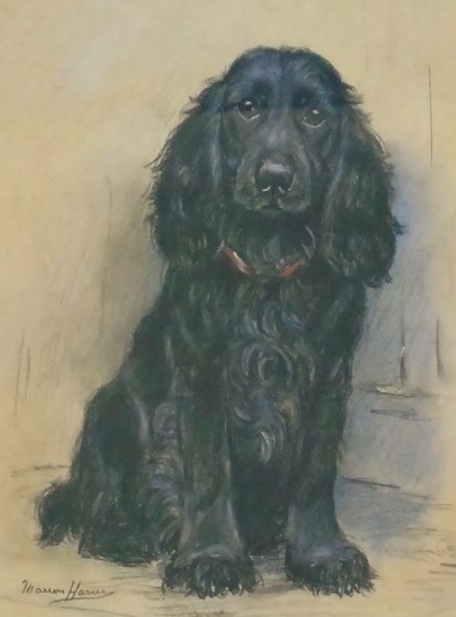 fig 1. Marion Harvey 1886-1971 Portrait of a Black Spaniel
