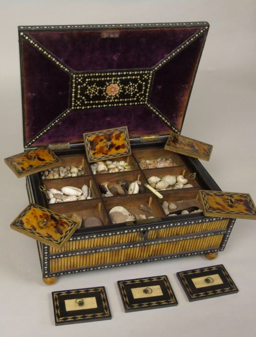 Collectors Casket 19th Century Quill Box