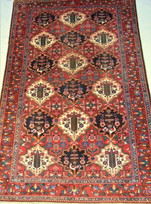Antique Bakhtiari Carpet 328x 216