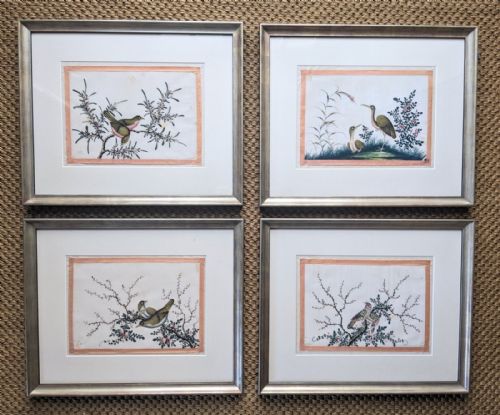 Antique Chinese Paintings of Birds Set of 4