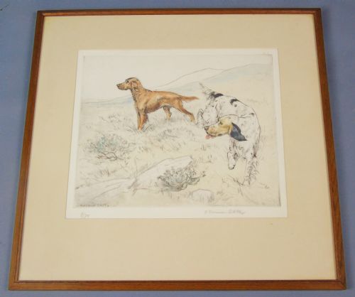 Hand Coloured Etching Hunting George Vernon Stokes Gun Dogs