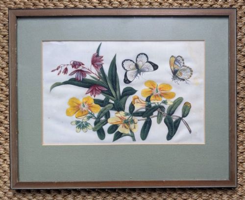 Chinese Watercolour Pith Painting Butterflies 