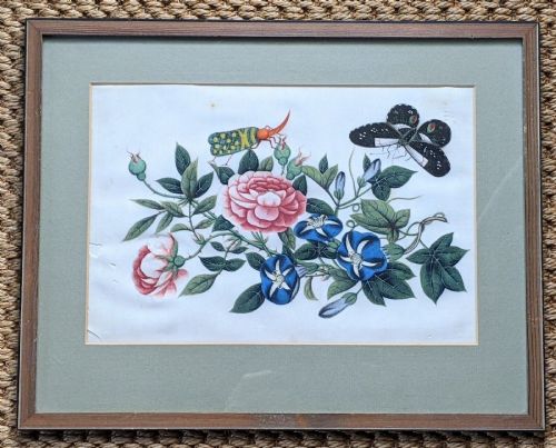 Chinese Watercolour Pith Painting Butterflies 