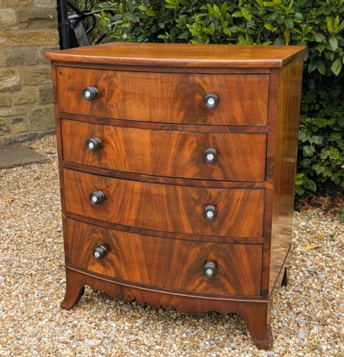 Neat Regency Bow Front Mahogany Chest Of Drawers