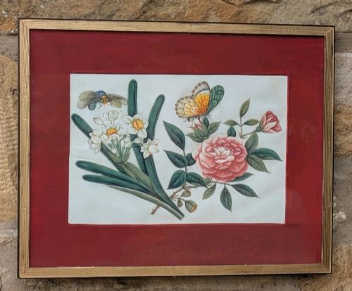 ANTIQUE CHINESE WATERCOLOUR PAINTING BUTTERFLIES BLOSSOMS