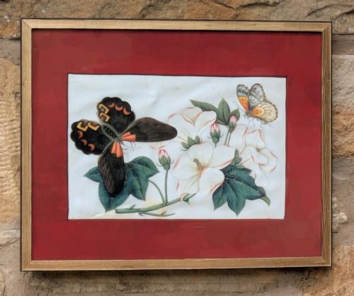 ANTIQUE CHINESE WATERCOLOUR PAINTING BUTTERFLIES BLOSSOM