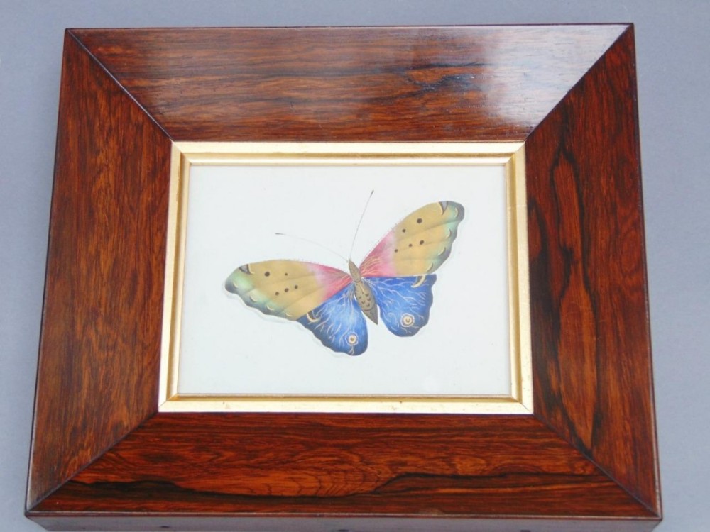 19th Century Chinese Watercolour Painting Butterfly