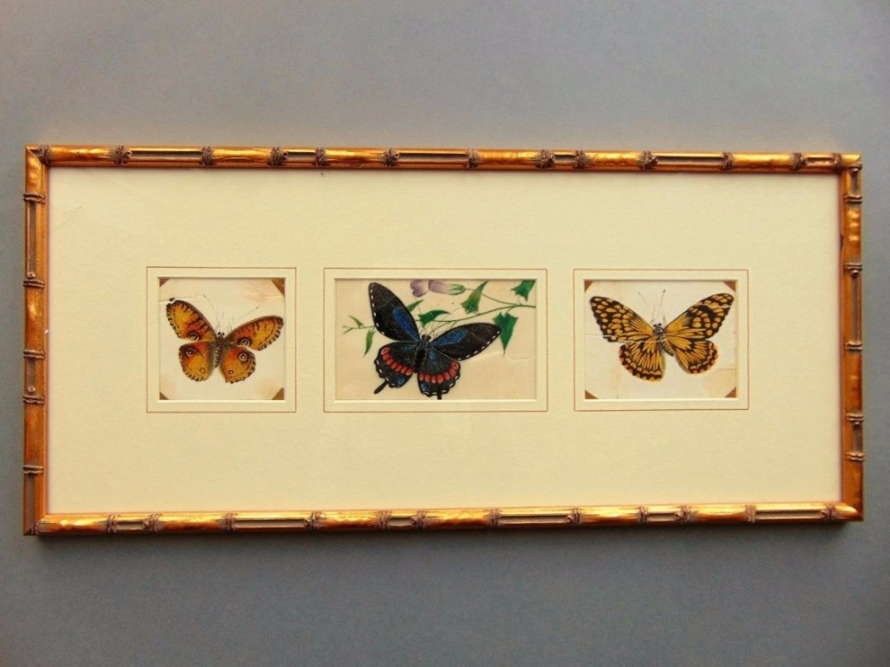 19th Century Chinese Three Watercolour Paintings on Pith Butterflies