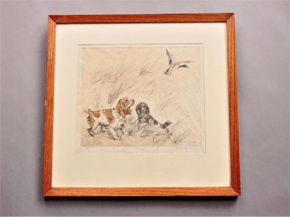 Hand Coloured Etching Spaniels George Vernon Stokes