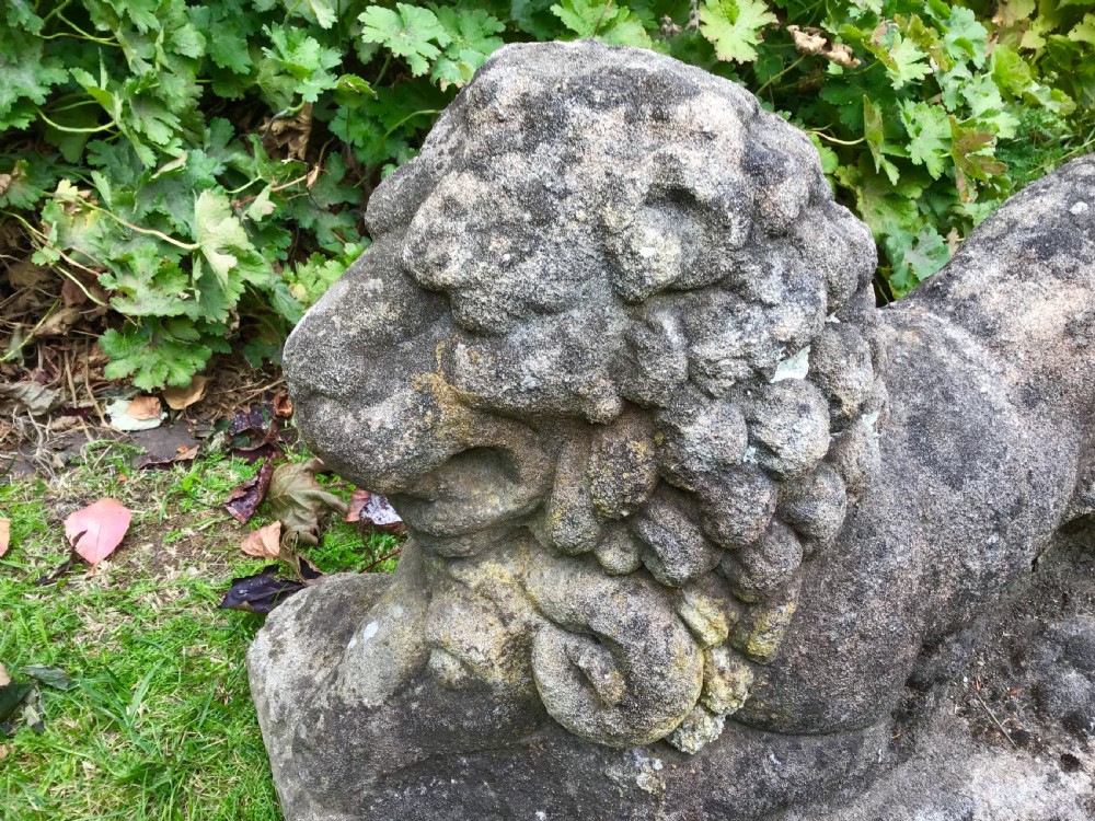 Antique Stone Garden Lion Statue  View V