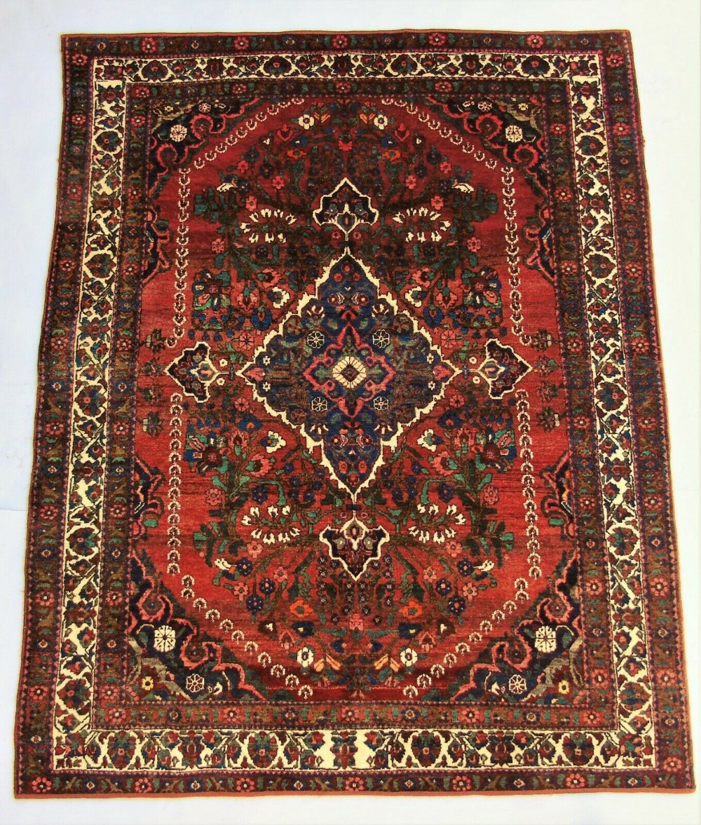 Pretty Bakhtiari Carpet