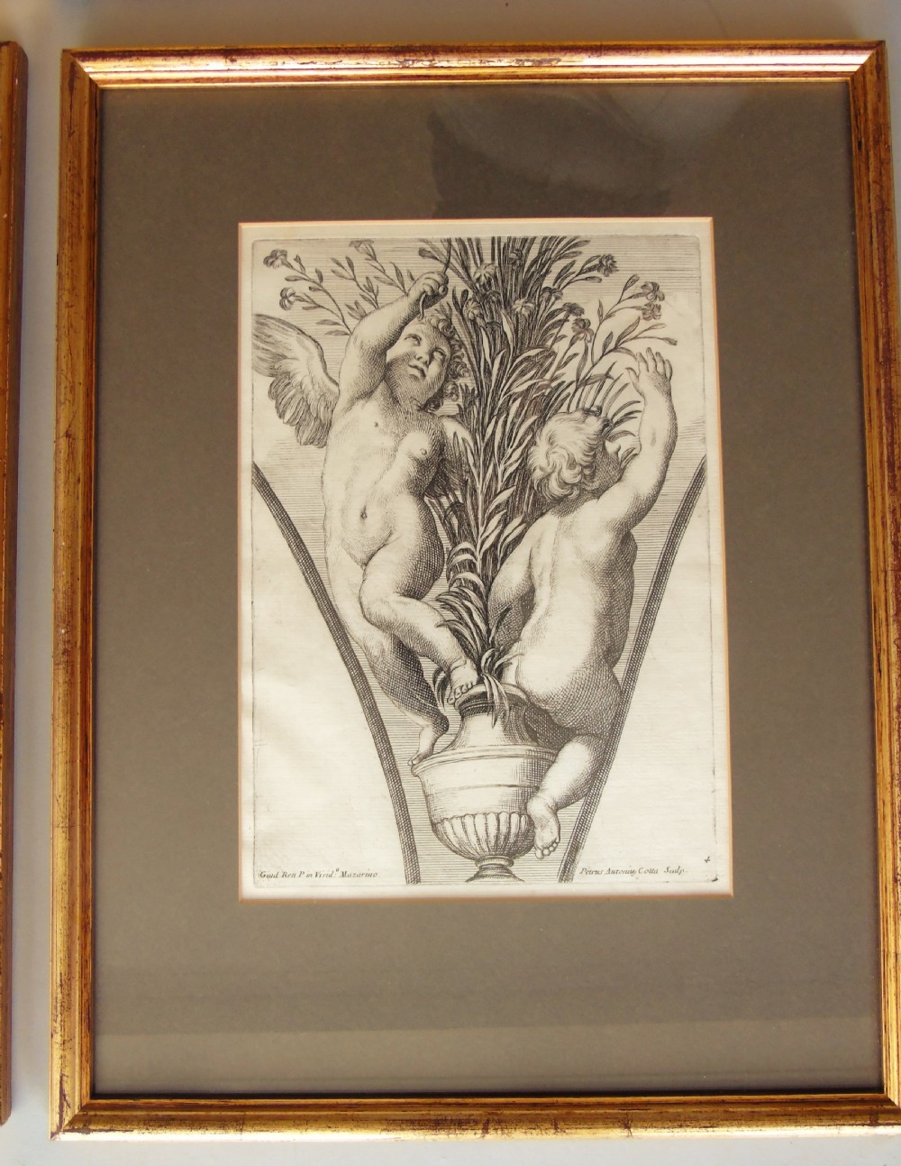 Set of Six Antique Engravings Cherubs After Petrus Antonius Cotta View VII