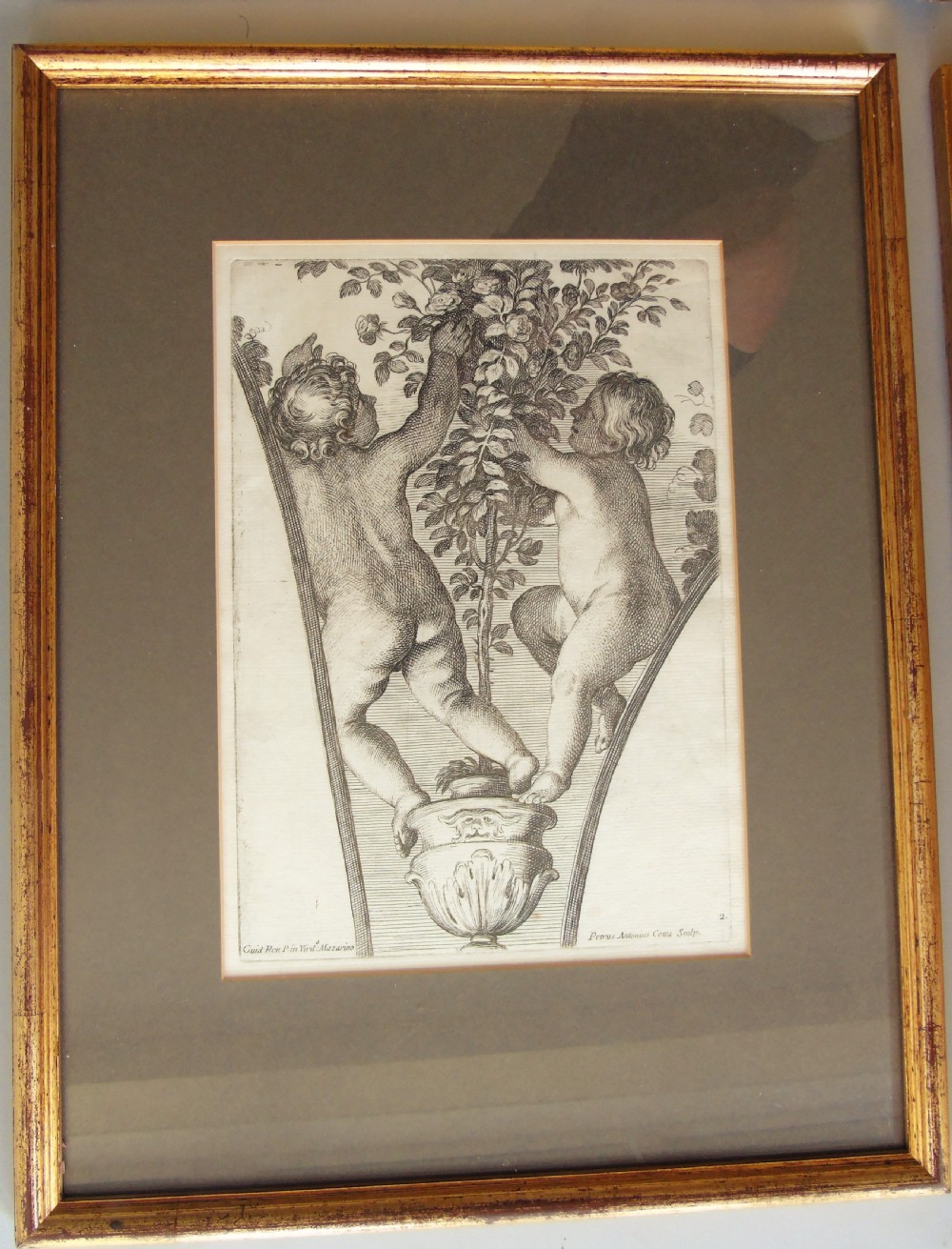 Set of Six Antique Engravings Cherubs After Petrus Antonius Cotta View VIII