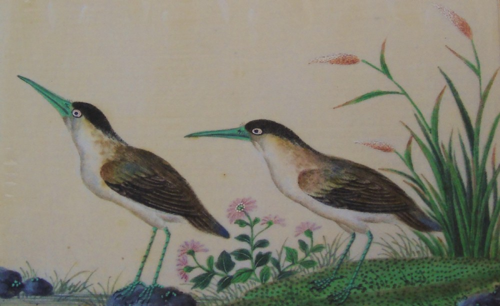 Good Set of Three Antique Chinese Pith Paintings Birds View IV