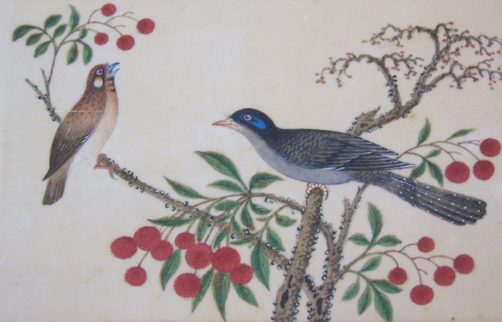Good Set of Three Antique Chinese Pith Paintings Birds View VI