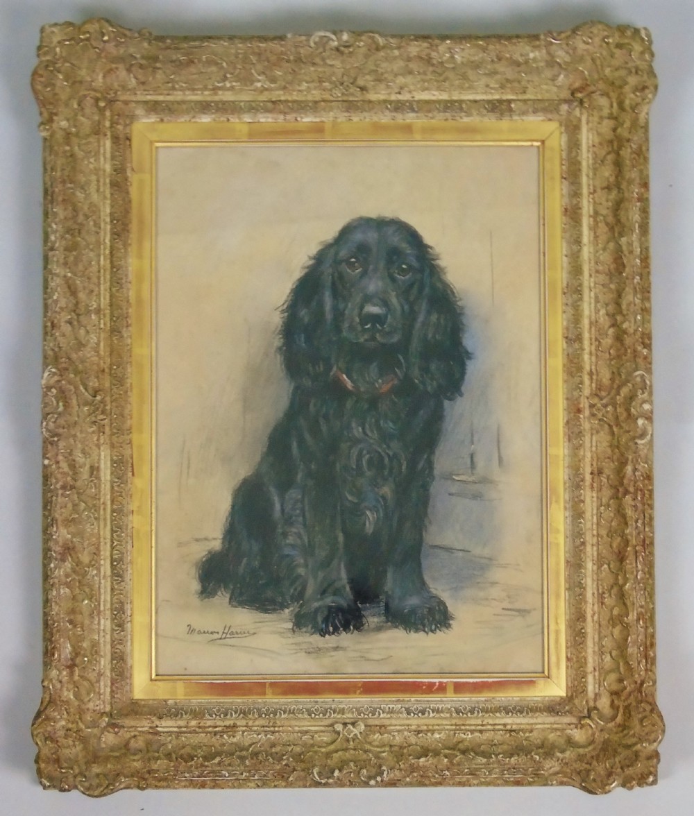 Marion Harvey 1886-1971 Portrait of a Black Spaniel