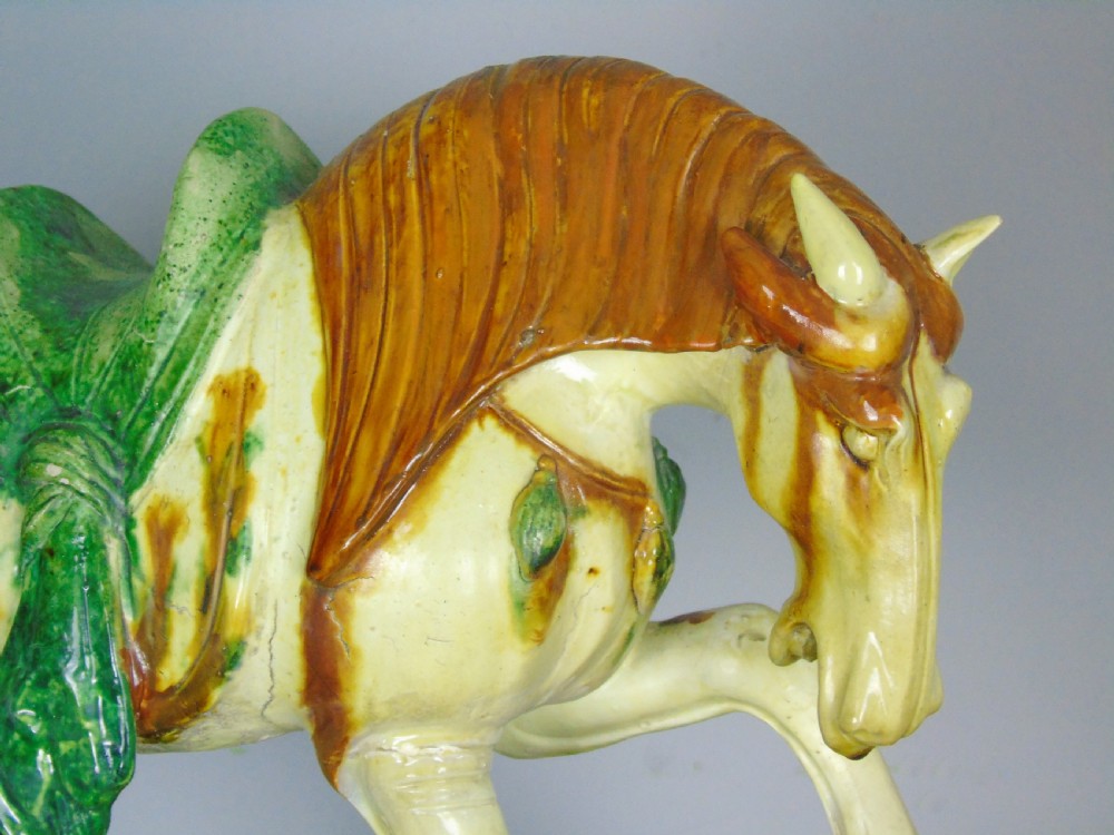 Early 20th Century Chinese Tang Horse Sancai Glaze View V