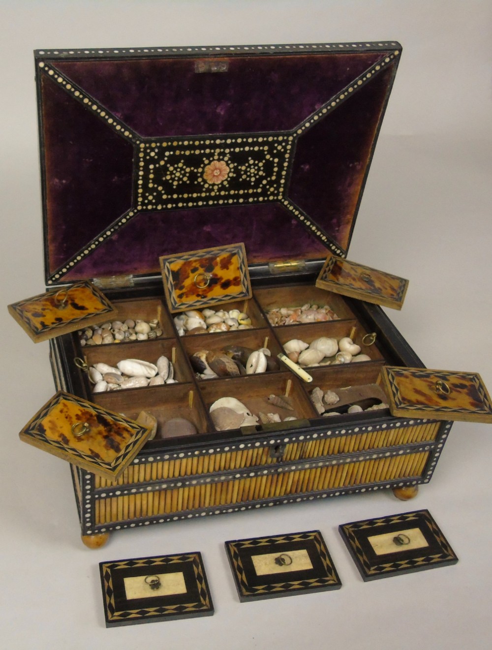 Collectors Casket 19th Century Quill Box 