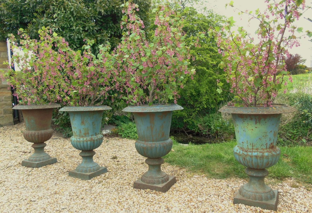 Rare Set of 4 Victorian Cast Iron Garden Urns View III