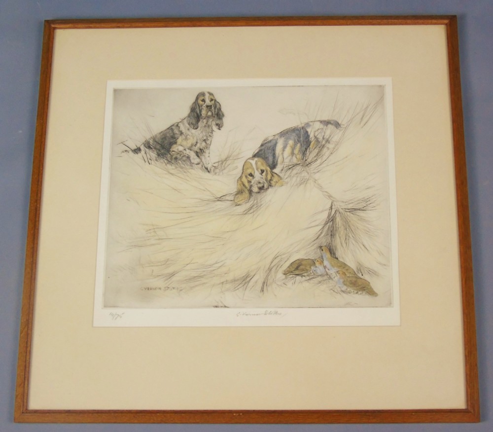 Hand Coloured Etching Spaniels & Grouse George Vernon Stokes