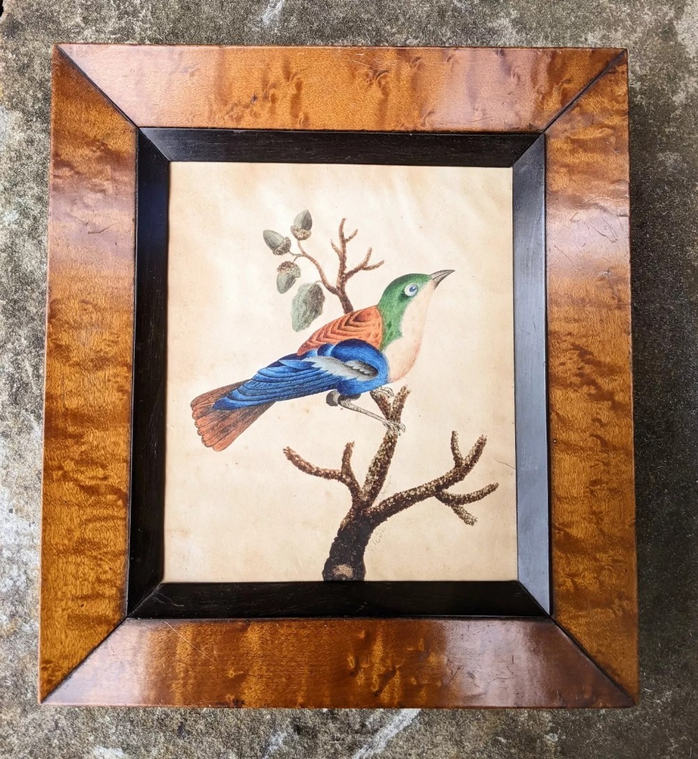 Antique Watercolour Painting Of Bird Maple Frame