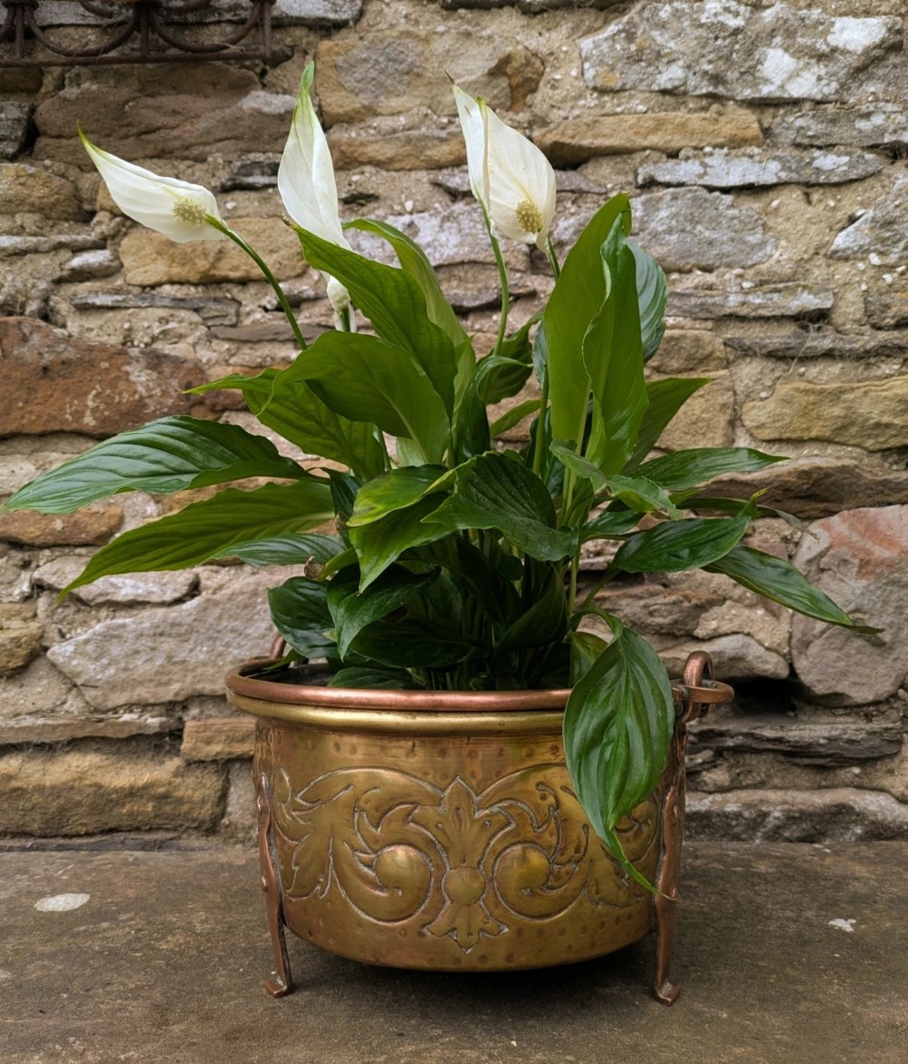 Art Nouveau Brass and Copper Planter Jardiniere