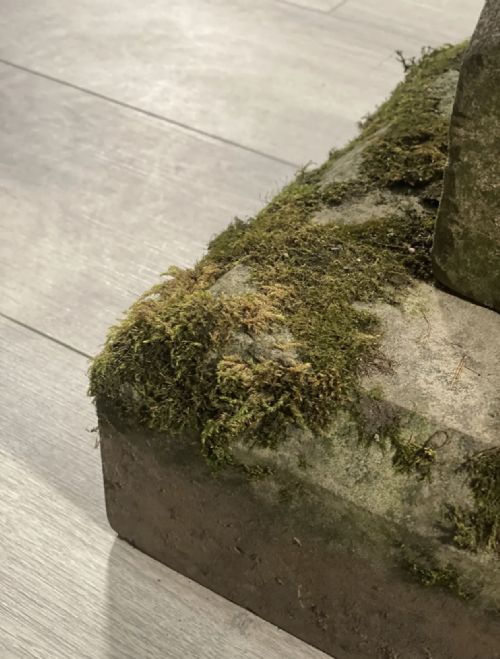 ANTIQUE WEATHERED YORK STONE BIRD BATH - ADDITIONAL PHOTO 7